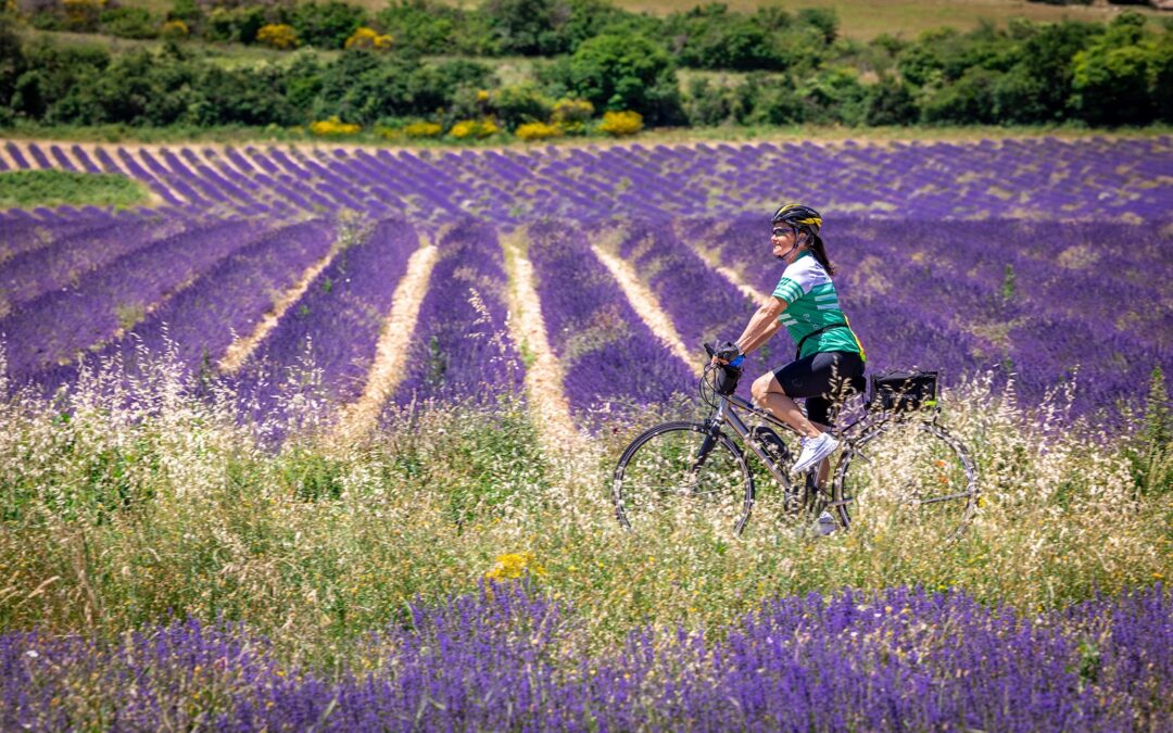 Discover the Charms of Provence on a Luxurious Backroads Bike Tour